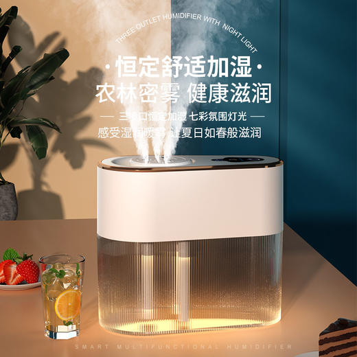 维米仕（vimees）三孔加湿器2L 白色VM8071 商品图0