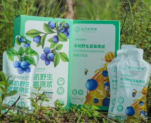 有机蓝莓原浆 商品图0