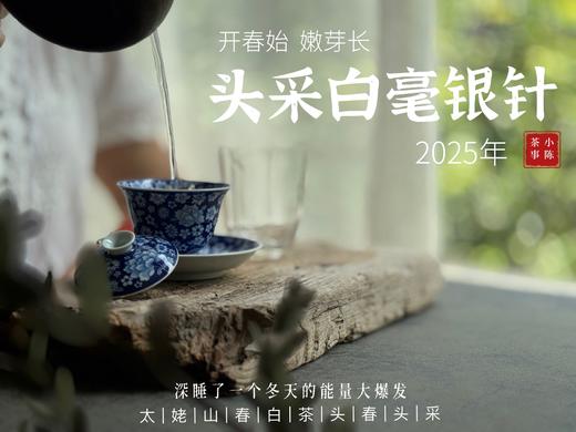 【2025春茶来了】2025头采银针《如琢》，上天精心打磨出的绝世佳品，毫香与花香尽显风流（一斤收藏装） 商品图7