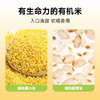 禾小町敖汉有机黄小米450g儿童营养辅食月子米小米粥杂粮 富含矿物质  /粮油调味 /杂粮 /谷米类 商品缩略图2
