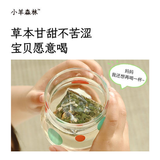 「藿香淡竹茶」 身体有水湿 配方平和 湿热寒湿都适用 商品图2