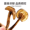 川珍黄牛肝菌250g【四川产地】南北干货滋补煲汤食用菌源头直发包邮 /粮油调味 /南北干货 /菌菇干货 商品缩略图0