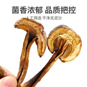 川珍黄牛肝菌250g【四川产地】南北干货滋补煲汤食用菌源头直发包邮 /粮油调味 /南北干货 /菌菇干货