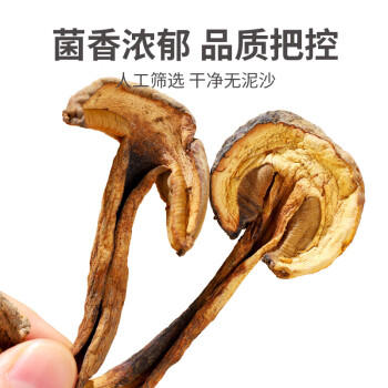 川珍黄牛肝菌250g【四川产地】南北干货滋补煲汤食用菌源头直发包邮 /粮油调味 /南北干货 /菌菇干货 商品图0