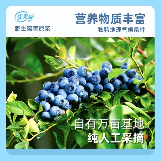 【买5赠1】优果能野生蓝莓果原浆 小分子原浆专利技术更易吸收NFC无添加便携直饮原生态 商品图1