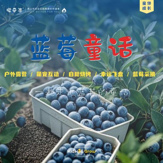 孩子志 | 蓝莓童话 1天 5/25(周日)  大巴/自驾【VIP优惠】独立/陪同， 蓝莓采摘、露营、萌宠、烧烤、飞盘 、拓染... 商品图0