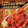 海底捞调味料 辣卤小龙虾调味料200g  0添加  麻辣干锅辣卤鸡翅鸡腿调味 /粮油调味 /调味品 /复合调味料 商品缩略图5