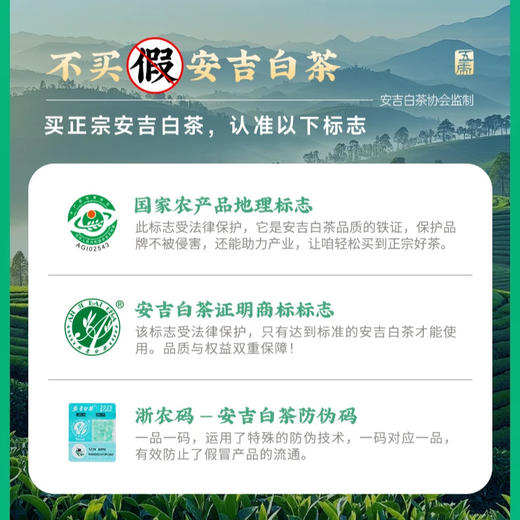 【年货礼盒】茶叶 安吉白茶 2025新茶 春茶 绿茶 茶叶罐装 茶饮 五虎 125g(买1送1同款，配手提袋) 商品图3