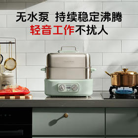 大宇【0塑料·0涂层】全钢电蒸锅多功能蒸煮炖一体双层家用2-5个人 304不锈钢多层18L大容量蒸汽锅 18L