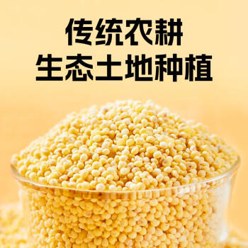 赤川有机大黄米3斤粽子米敖汉黄米杂粮米黍米黄黏米黄糯米粗粮 /粮油调味 /杂粮 /谷米类 商品图6