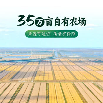 瀛豊五斗崇明绿稻香10斤 真空包装 产自崇明岛 国企粮源 自有农场 /粮油调味 /米 /其他大米 商品图6