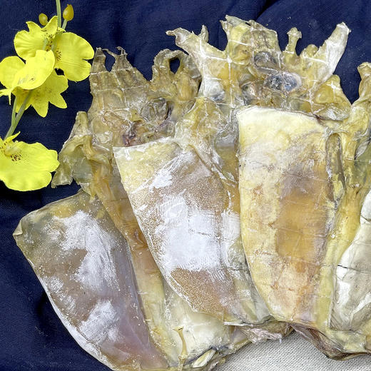 广东汕头澄海吴氏兄弟墨鱼干(6-8只)500g/袋 商品图2