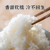 老娘舅当季新米 五常大米 20斤 原粮稻花香2号 东北大米 舅在东北 /粮油调味 /米 /稻花香米 商品缩略图3