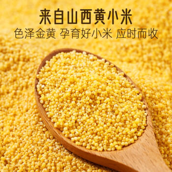 瑞利来黄小米2斤 早餐粥五谷杂粮米山西特产小黄米米饭伴侣养胃月子食材 /粮油调味 /杂粮 /谷米类 商品图1