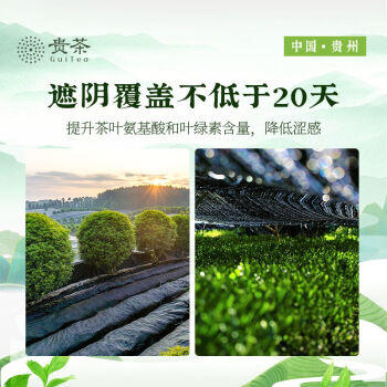 贵茶 贵州铜仁抹茶粉58g 欧盟标准冲饮布丁蛋糕国产 昔绿青绿 /粮油调味 /烘焙原料 /烘焙粉 商品图3