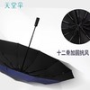 天堂伞 全自动折叠伞高级感12骨加大加固黑胶晴雨两用遮阳伞o 商品缩略图1