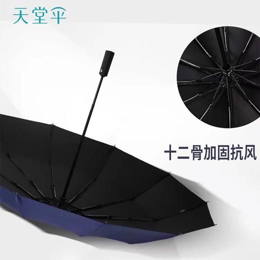 天堂伞 全自动折叠伞高级感12骨加大加固黑胶晴雨两用遮阳伞o 商品图1