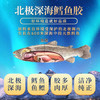 贵世荟花胶北极鳕鱼胶滋补礼盒食品海鲜干货新年货送礼品孕妇女长辈父母 /粮油调味 /南北干货 /鱼虾贝藻类干货 商品缩略图3