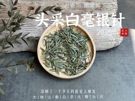 【2025春茶来了】2025头采银针《如琢》，上天精心打磨出的绝世佳品，毫香与花香尽显风流