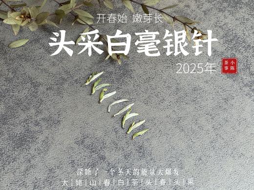 【2025春茶来了】2025头采银针《如琢》，上天精心打磨出的绝世佳品，毫香与花香尽显风流（一斤收藏装） 商品图3