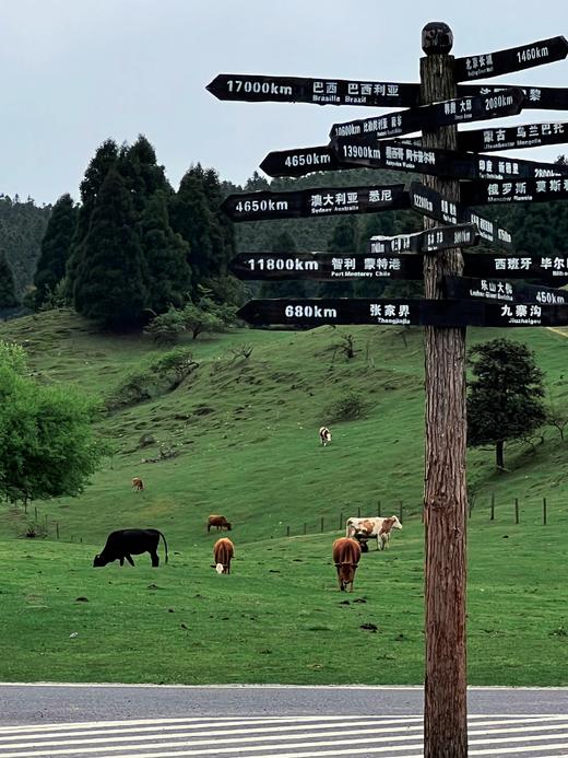 【武隆一日游】 💰128包含往返大巴车+景区门票+保险+行车助理~ 商品图1