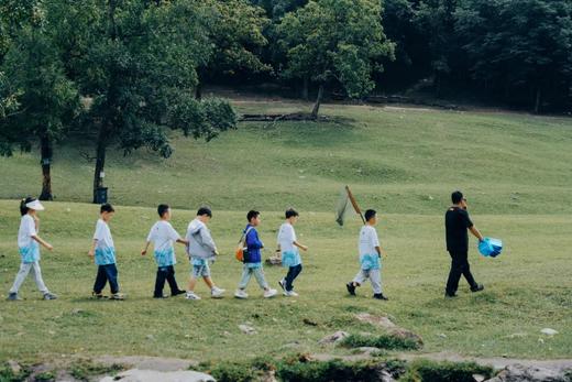 【课本旅行】美丽的小兴安岭+红松栽种与认领+金山鹿苑+恐龙面对面+地质变迁+蓝莓之约|逃离喧嚣，走进童话世界 商品图2