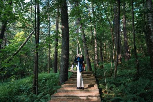 【伊春亲子】红松认领+灵芝采摘+森林漂流+森林骑士+寻蜜之旅+金山鹿苑+北沉香手串+红松协会证书 商品图3