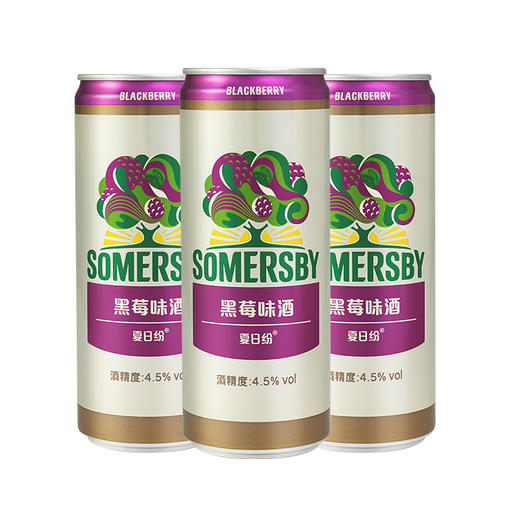 【随心配】夏日纷黑莓330ml*3罐 商品图0