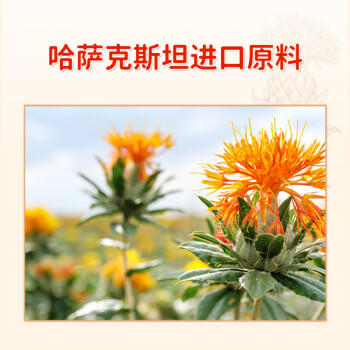 戈壁工坊新疆红花籽油5L低温压榨一级食用油植物油家庭装 /粮油调味 /食用油 /其他油 商品图3