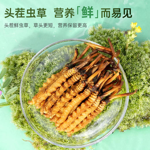 [火热销售中] 国坤堂2025年新鲜冬虫夏草礼盒 商品图1