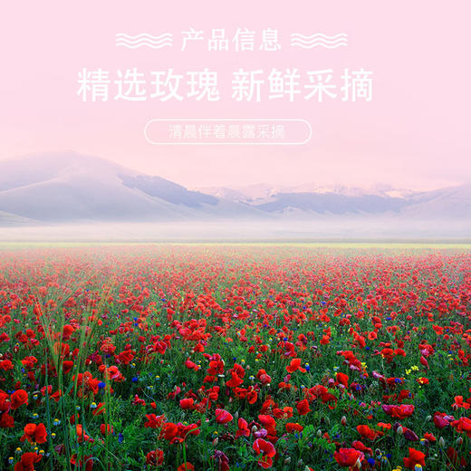 云南玫瑰鲜花饼（30个/箱，30g/个） 商品图5