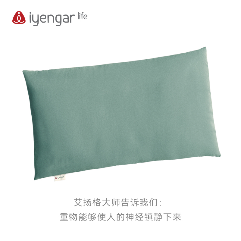 A2102 超大沙袋 瑜伽沙袋   健身承压辅具用品