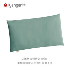 A2102 超大沙袋 瑜伽沙袋   健身承压辅具用品