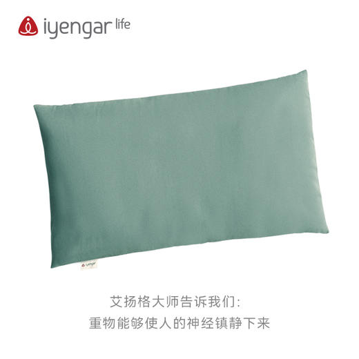 A2102 超大沙袋 瑜伽沙袋   健身承压辅具用品 商品图0