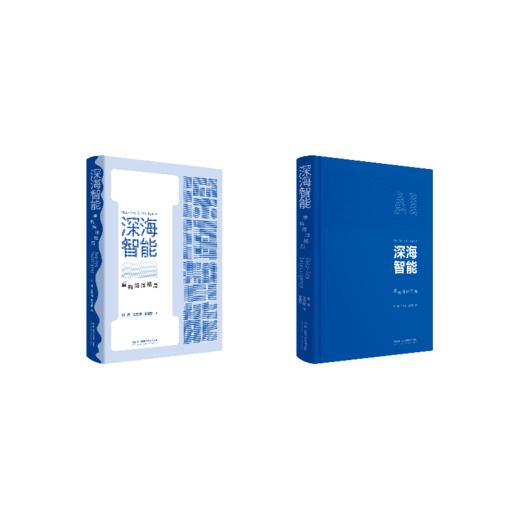 深海智能：重构海洋格局 商品图0