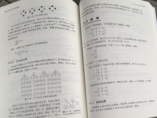 算法竞赛核心教程：策略与算法深度解析 商品图8