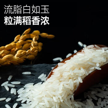 宏绿（HONGLU）自热米饭 红烧牛肉420G大分量户外团建方便速食米饭午餐夜宵 /粮油调味 /方便食品 /方便米饭 商品图1