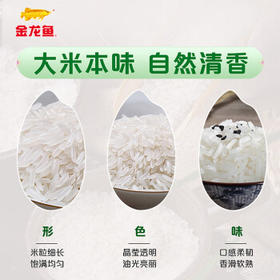金龙鱼油粘米 南方大米 籼米 珍香小农粘20斤 /粮油调味 /米 /油粘米