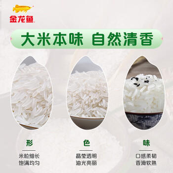 金龙鱼油粘米 南方大米 籼米 珍香小农粘20斤 /粮油调味 /米 /油粘米 商品图0
