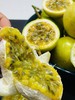 钦蜜9号黄金百香果 商品缩略图0