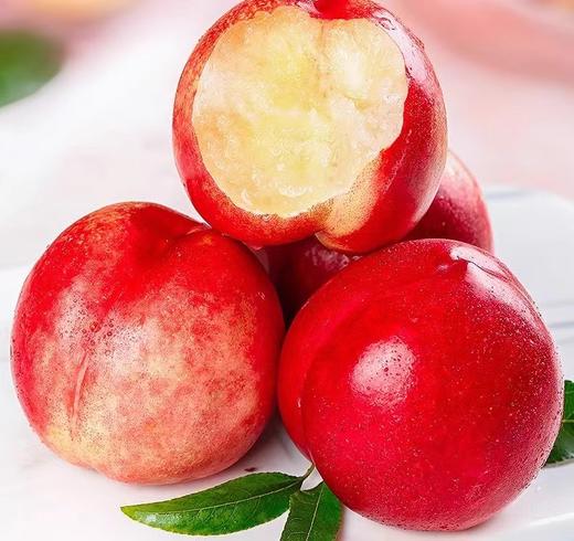 新鲜水果 清脆可口 油桃 500g 商品图0