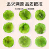 富昌 莴笋干200g/袋 莴苣干 窝笋片贡菜 凉拌菜 脱水蔬菜干货 /粮油调味 /南北干货 /干菜类 商品缩略图3