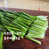 生态露天韭菜（农场直发-顺丰包邮）| 2斤/箱，成都郫都区基地，【原乡农场，自产自销】 商品缩略图1
