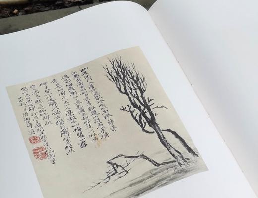 特别推荐：《石涛书画集》，全6册，4开巨册，布面锁线精装，香港开发（Cafa）股份有限公司1969年出版，售价3480元。 商品图10