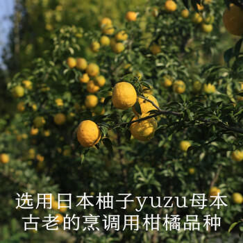 南食召 本味柚子酱 独门果酱 清新YUZU风味 涂抹吐司酱冲饮无香精170g /粮油调味 /调味品 /西式酱料 商品图2