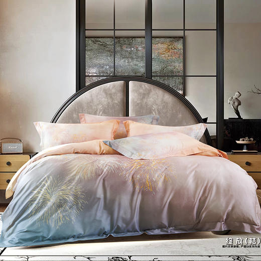 鑫缘 天丝棉数码印花四件套 DXC5418 商品图10