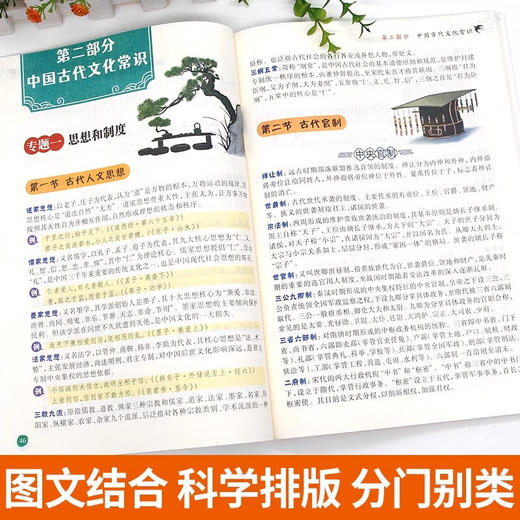 初中文学知识大全【知识点汇总】+【训练手册】（2册） 商品图1