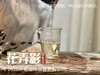 【2025春茶来了】2025一级春寿眉《花弄影》，鲜香到极致、花香到极致，香清气长（80克罐装） 商品缩略图6