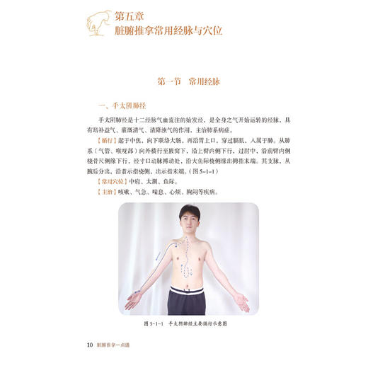脏腑推拿一点通 王金贵 主编 适合广大中医药院校师生 临床医生 推拿从业者及中医爱好者阅读参考9787521451788中国医药科技出版社 商品图4