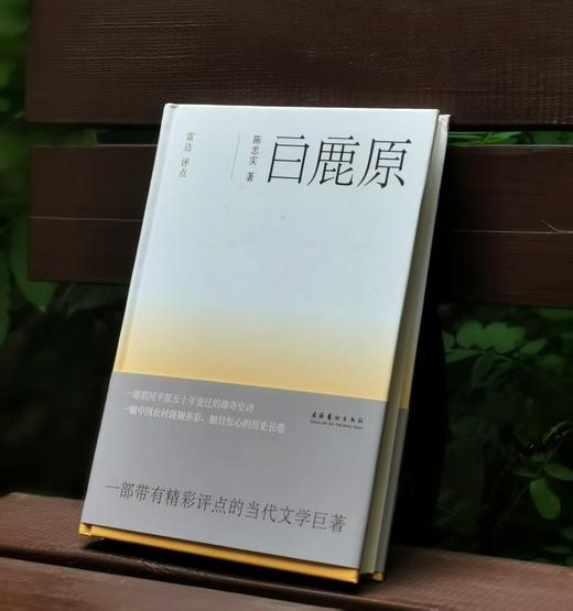 《白鹿原》，精装，16开，陈忠实著，雷达评点，文化艺术出版社2010年一版一印，446页，定价39.8元，售价19.8元。品相95成。 商品图0